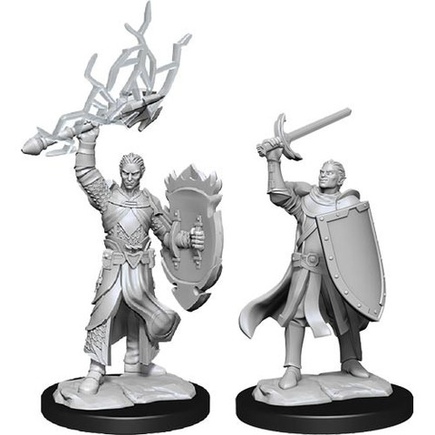 D&D Nolzurs Marvelous Miniatures: W14 Male Half-Elf Paladin