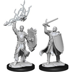 Dungeons & Dragons Nolzur`s Marvelous Unpainted Miniatures: W14 Half-Elf Paladin Male