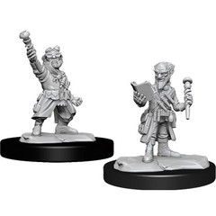 D&D Nolzur's Marvelous Miniatures: W14 Male Gnome Artificer