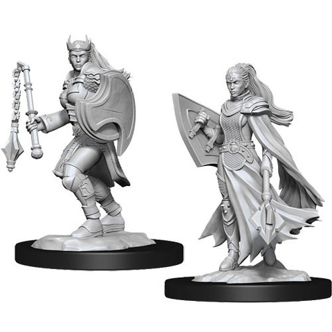D&D Nolzurs Marvelous Miniatures: W14 Female Kalashtar Cleric