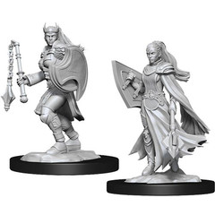 D&D Nolzur's Marvelous Miniatures: W14 Female Kalashtar Cleric