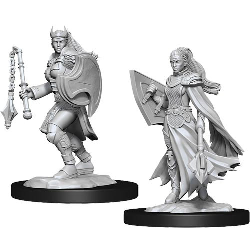 Kalashtar Cleric Female (Nolzurs - W14)