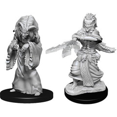 D&D Nolzur's Marvelous Miniatures: W14 Night Hag & Dusk Hag