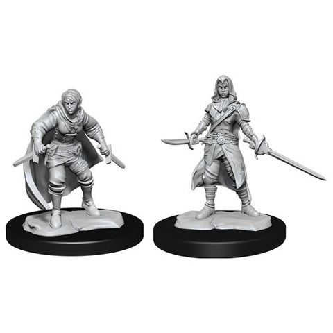 D&D Nolzurs Marvelous Miniatures: W14 Female Half-Elf Rogue
