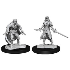 D&D Nolzur's Marvelous Miniatures: W14 Female Half-Elf Rogue