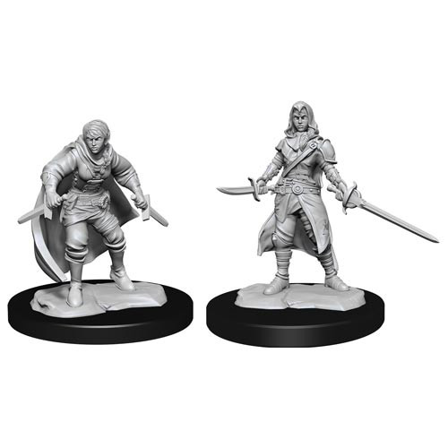 D&D Nolzurs Marvelous Miniatures: W14 Female Half-Elf Rogue