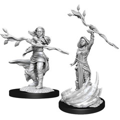 D&D Nolzur's Marvelous Miniatures: W14 Female Human Druid