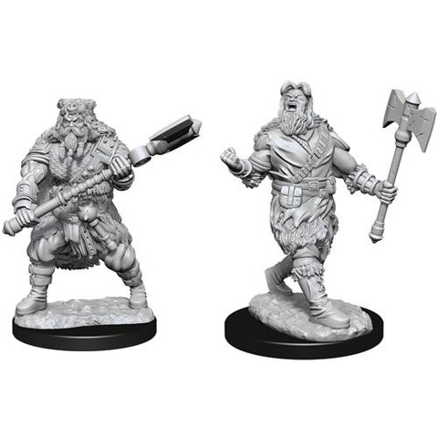 Male Human Barbarian W14