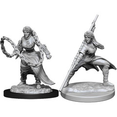 D&D Nolzur's Marvelous Miniatures: W14 Female Human Monk