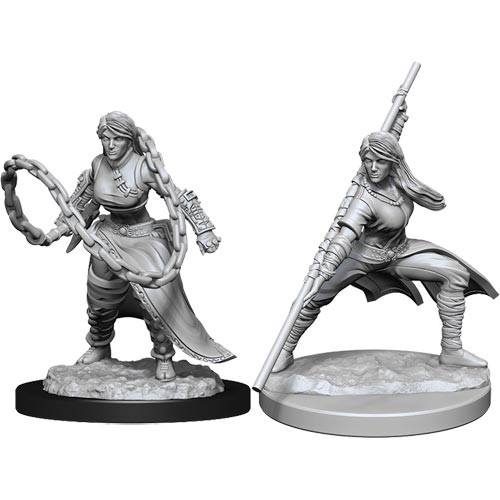 D&D Nolzurs Marvelous Miniatures: W14 Female Human Monk