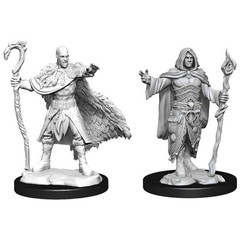 [Deprecated] D&D Nolzur's Marvelous Unpainted Miniatures: W14 Male Human Druid