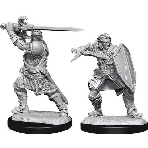 D&D Nolzurs Marvelous Miniatures: W14 Male Human Paladin