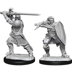 D&D Nolzur's Marvelous Miniatures: W14 Male Human Paladin