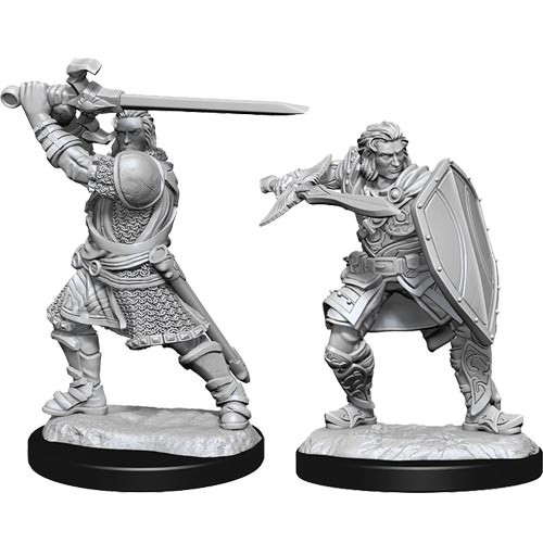 D&D Nolzurs Marvelous Miniatures: W14 Male Human Paladin