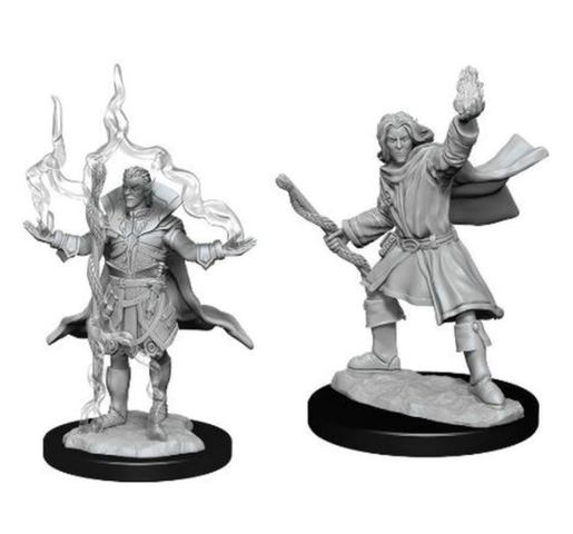 Pathfinder Deep Cuts - Elf Sorcerer Male  (Wave 14)