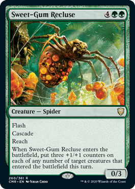 Sweet-Gum Recluse