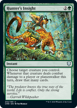 Hunters Insight - Foil