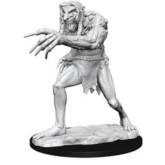 D&D Nolzur's Marvelous Miniatures: W12.5 Troll