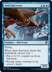 Aven Surveyor - Foil