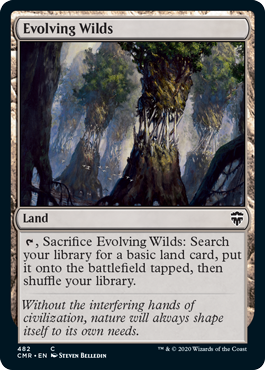 Evolving Wilds - Theme Deck Exclusive