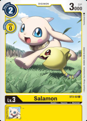 Salamon - ST3-02 - C