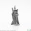 (77661) Anuminar Winterbeard, Wizard