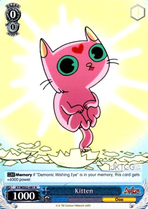 Kitten - AT/WX02-081 - R