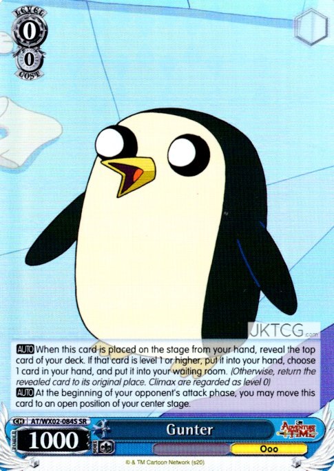 Gunter - AT/WX02-084S - SR
