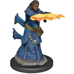 D&D Premium Painted Figure: W5 Female Human Wizard