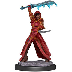 D&D Premium Painted Figure: W5 Female Human Rogue