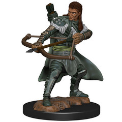 Dungeons & Dragons: Icons of the Realms Premium Figures W04 Human Ranger Male