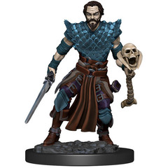 D&D Premium Painted Figure: W4 Male Human Warlock