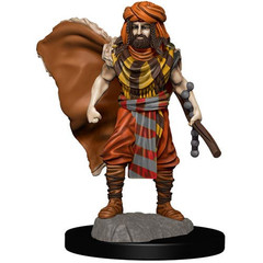 D&D Premium Painted Figure: W4 Male Human Druid