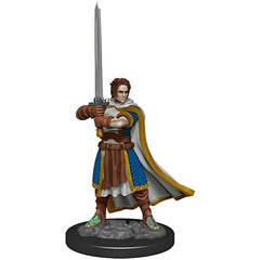 D&D Premium Painted Figure: W4 Male Human Cleric