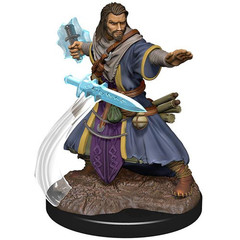 D&D Premium Painted Figure: W5 Male Human Wizard