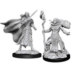 Magic: The Gathering Unpainted Miniatures: Elf Fighter & Cleric W14