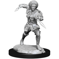 Magic: The Gathering Unpainted Miniatures: Kaya W14