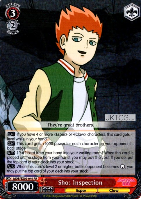 Sho: Inspection - MOB/SX02-049 - RR