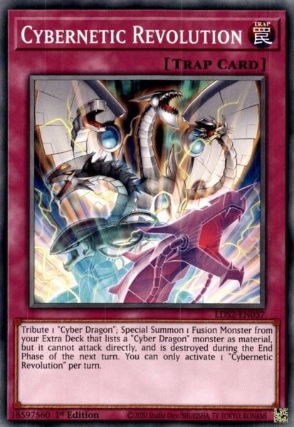 Cybernetic Revolution - LDS2-EN037 - Common - 1st Edition