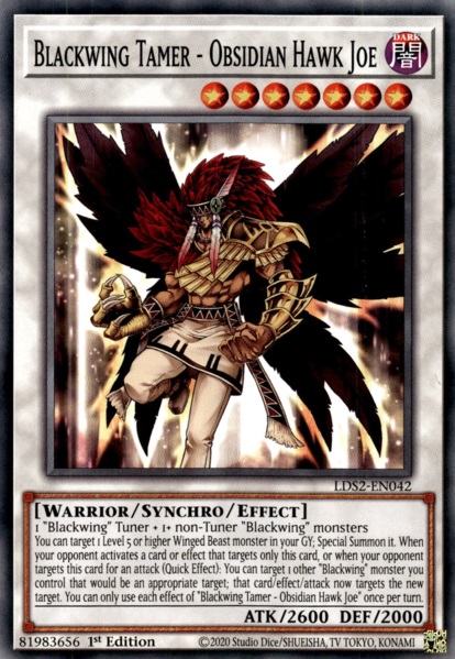 Blackwing Tamer - Obsidian Hawk Joe - LDS2-EN042 - Common - 1st Edition
