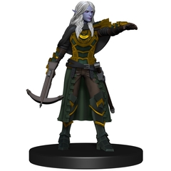 Drow Rogue