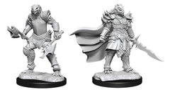 D&D Nolzur's Marvelous Miniatures: Dragonborn Fighter Female (Wave 15)