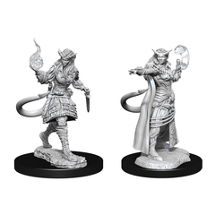 D&D Nolzur's Marvelous Miniatures: Tiefling Sorcerer Female (Wave 15)