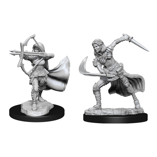 D&D Nolzurs Marvelous Miniatures: Air Genasi Female (Wave 15)