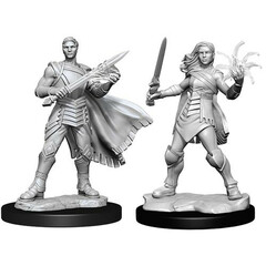 Magic: The Gathering Unpainted Miniatures: Rowan & Will Kenrith