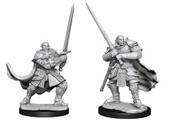 D&D Nolzur’s Marvelous Miniatures: Half-Orc Paladin (Male) (W15) (90307)