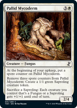 Pallid Mycoderm - Foil