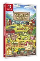 Stardew Valley