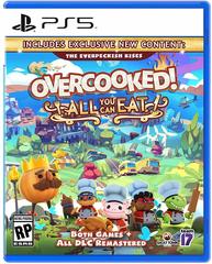 Overcooked! All You Can Eat