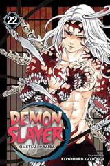 Demon Slayer Kimetsu No Yaiba Gn Vol 22 (STL178427)